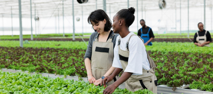 Unlocking the Future of Sustainable Agriculture: Investing in a Greener Tomorrow